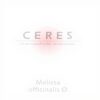CERES Melissa officinalis Urtinktur 20 ml Tropfen