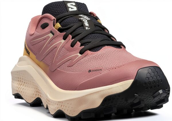 Salomon Trailrunning Schuh Damen GORE TX Contagrip Tender Peach-2
