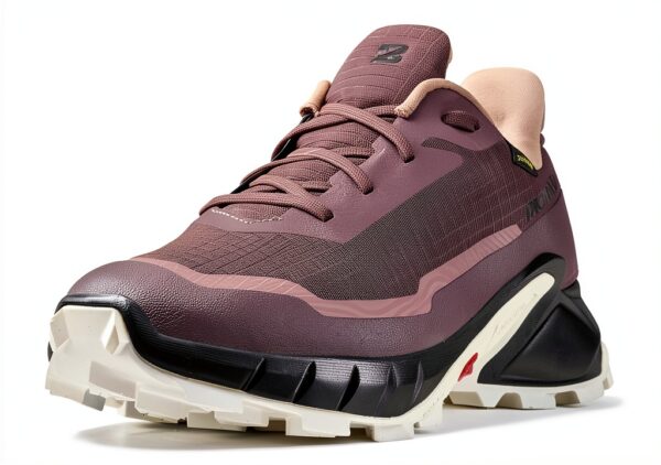 Salomon Damen Trailrunning Schuh Moonscape GORE‑TEX Größe 41 1/3-2